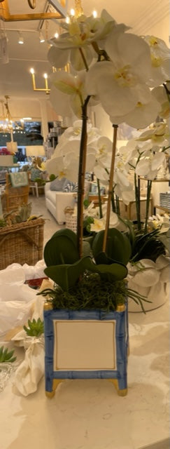 Small Blue and White Bamboo Cachepot with orchid