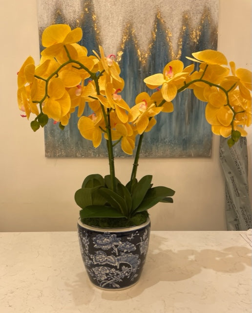 Blue and White Cachepot with yellow orchids