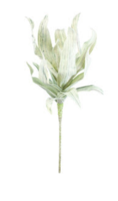 Light Botanica