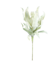 Botanica #1302