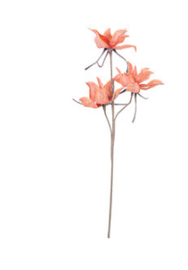 Orange Botanica #