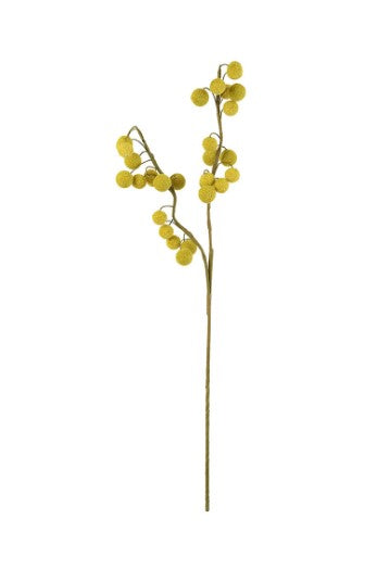 Botanica #2442