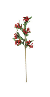 Holiday Botanica in red