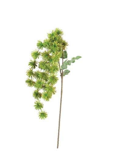 Botanica #3323