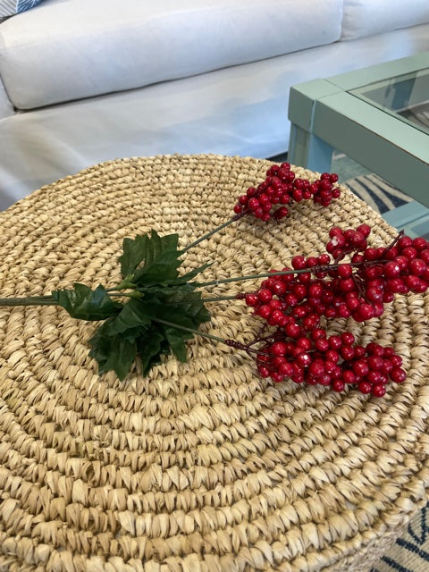 Red Berry Pics
