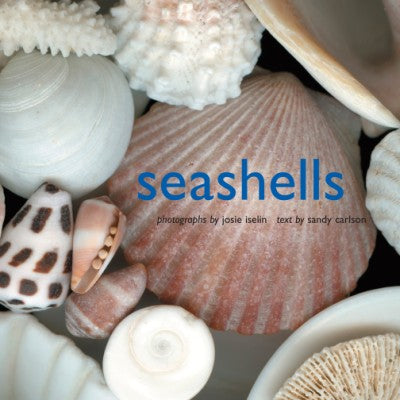 Seashells Small book