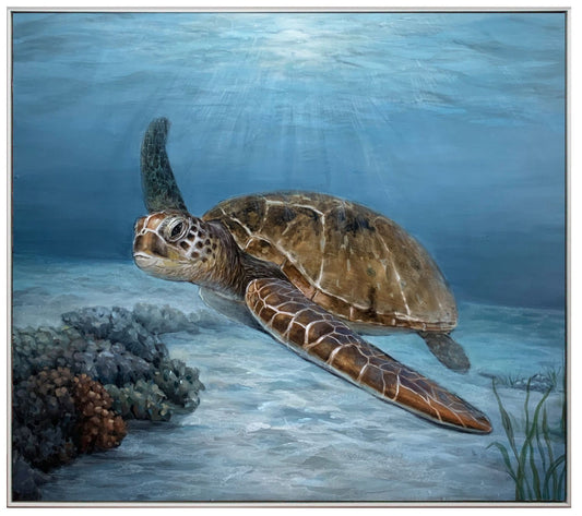 Sea Turtle Cruising  44w x 40h