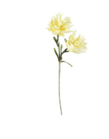 White Botanica Stem