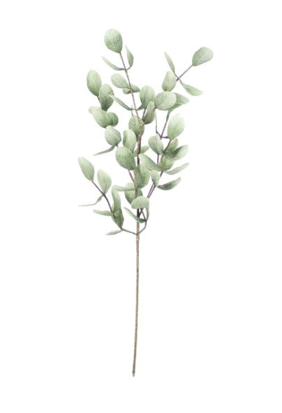 Botanica #875
