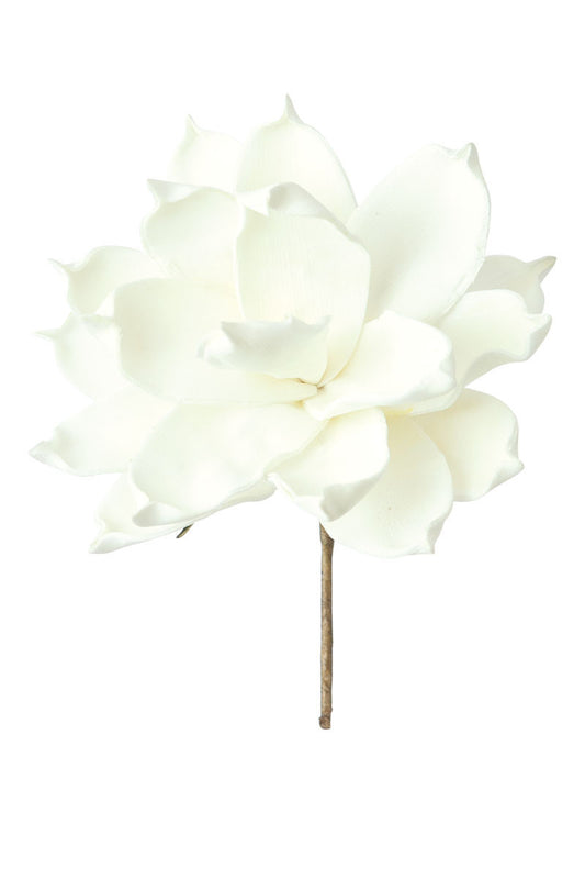 White Small Botanical Pic #36