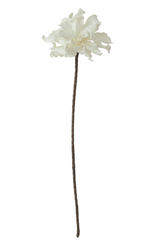White long Botanica #504