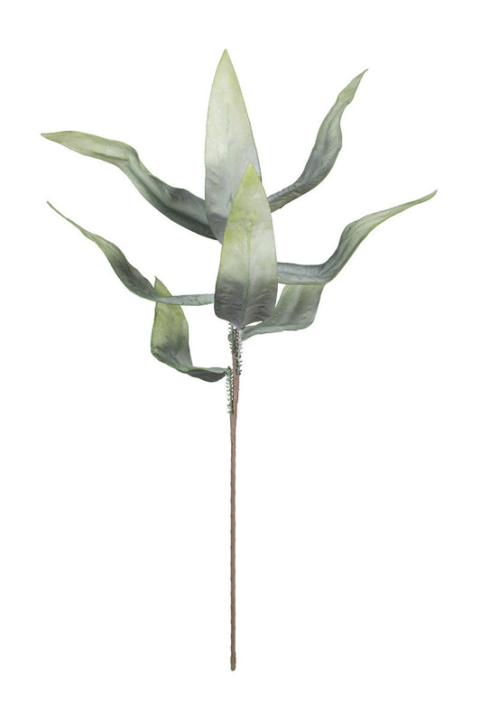 Green Stem Botanical #3100