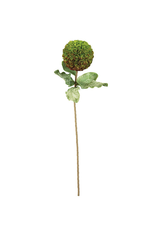 Botanical #3209