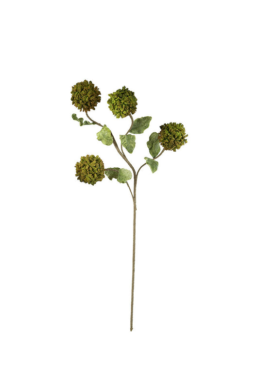Botanica #3225
