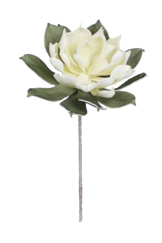 Botanica #3183