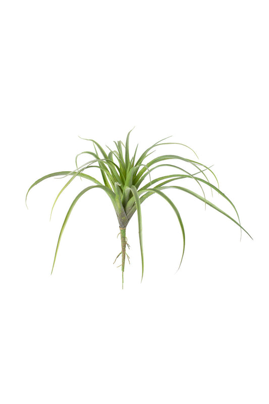 Large artificial air plant