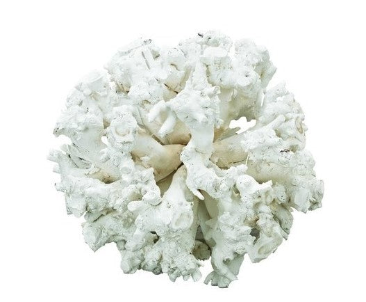 White Coastal Sculpture