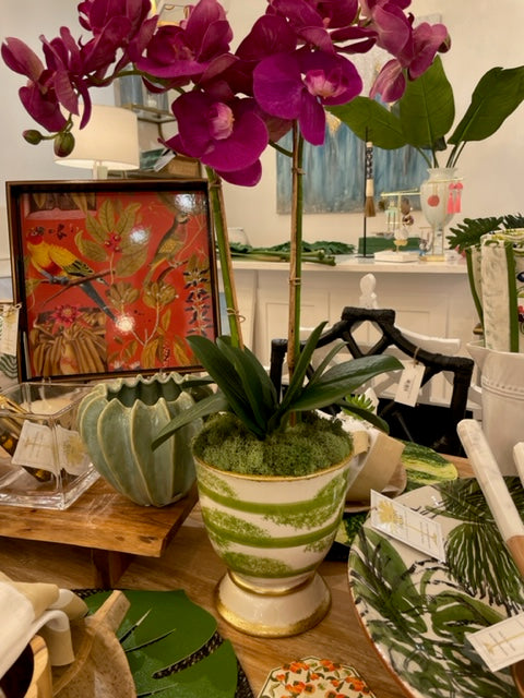 Large green cachepot with magenta orchids