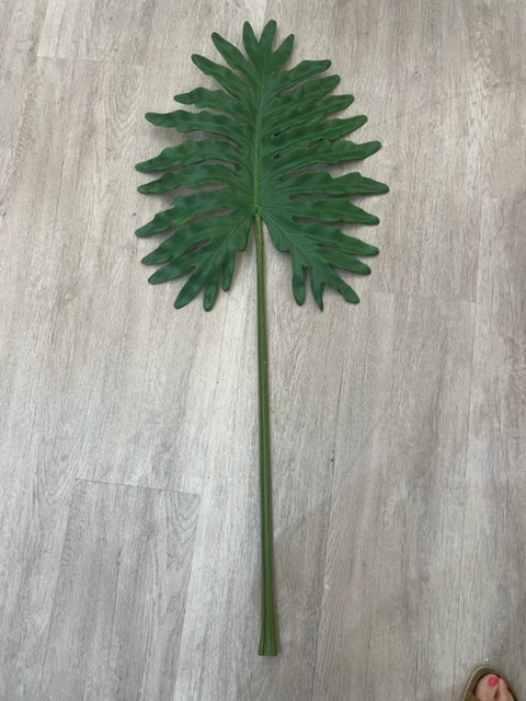 XL Green Fern
