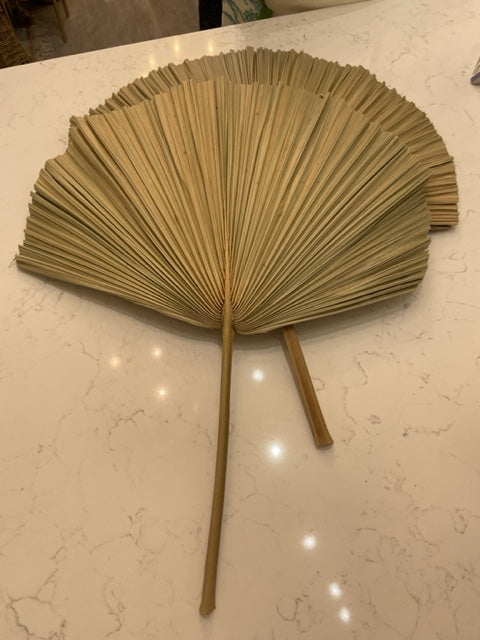 Natural Fan large