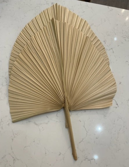 Natural Medium Dried Fans