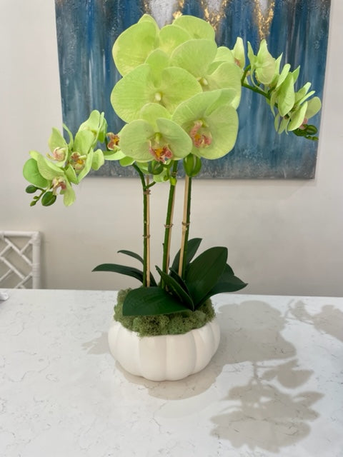 Green Faux orchids in Small Scalloped Bowl