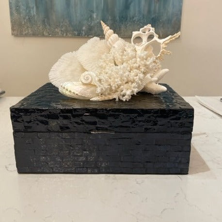 Decorative Shell Box Navy