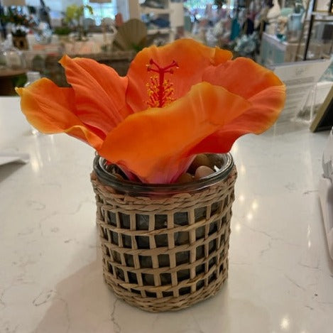 Coral Hibiscus in rattan vessel