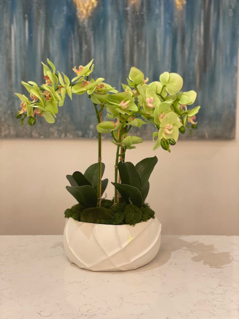 Triple green orchids in white ridged med vessel