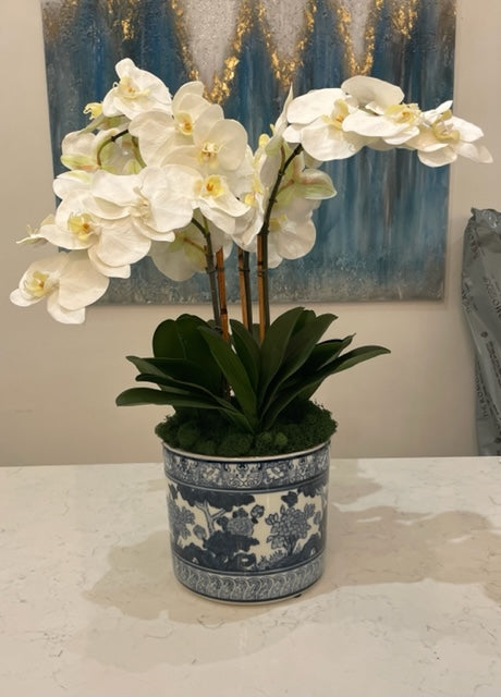 Chinoiserie Cachepot with white orchids