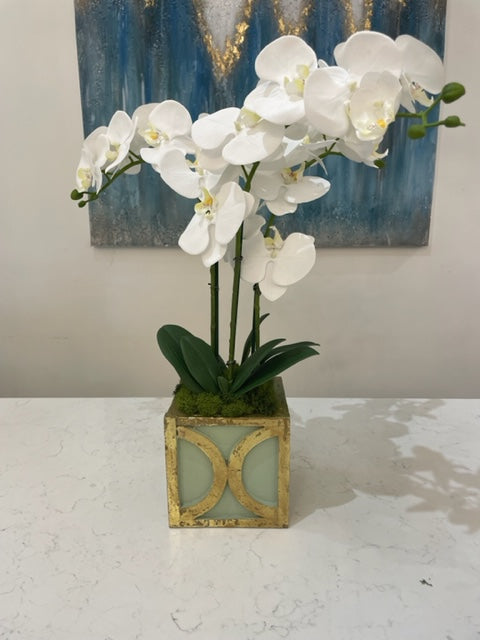 Mini Wooden Square Cachepot with white orchid