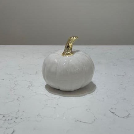 White Pumpkin XS