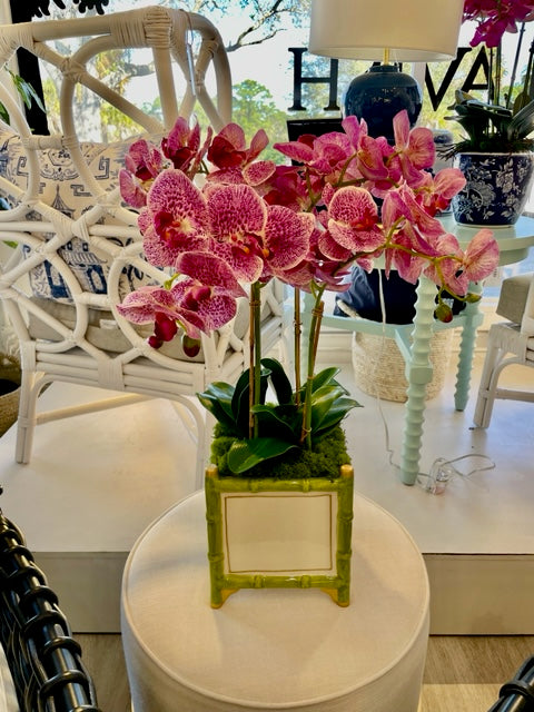 Large Green and White Cachepot with Pink or white orchids