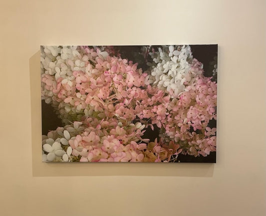 Floral photography on Canvas
