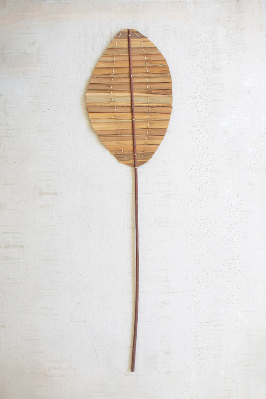Tear drop natural hogla leaf with stem
