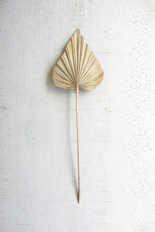 Natural palm Spears