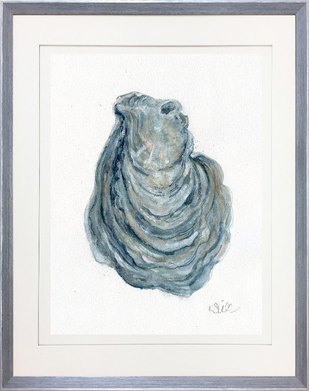 Oyster in Grey I 18 x 22