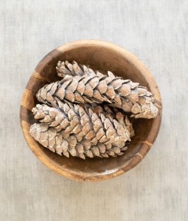 Bag of 6 Strobus White Frosted Pinecones