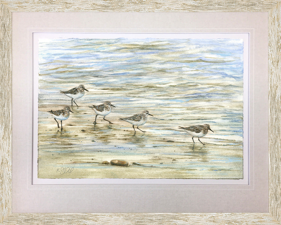 Sandpipers in the Surf