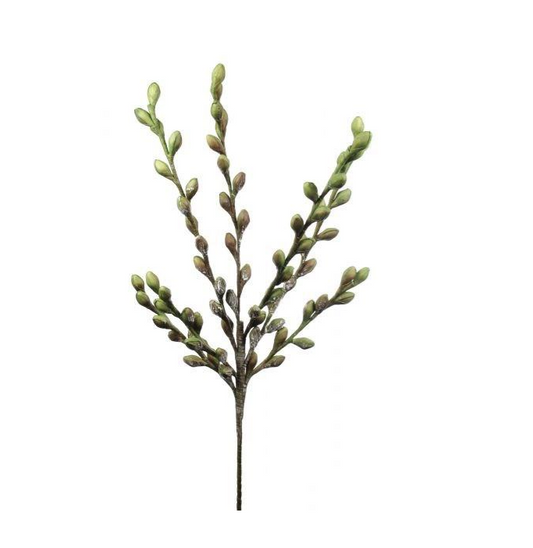 EVA18 Fruit Botanical
