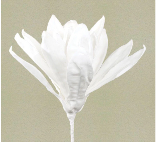 FW107 White Botanical