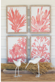 Set of four Coral Prints