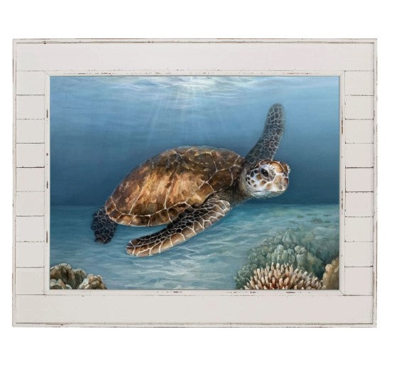 Shiplap Turtle Framed 50x40