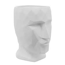 Face Plantar