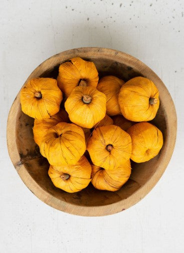 Bag of 15 dried miniature pumpkins