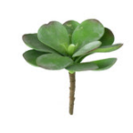 Artificial Paddle Plant