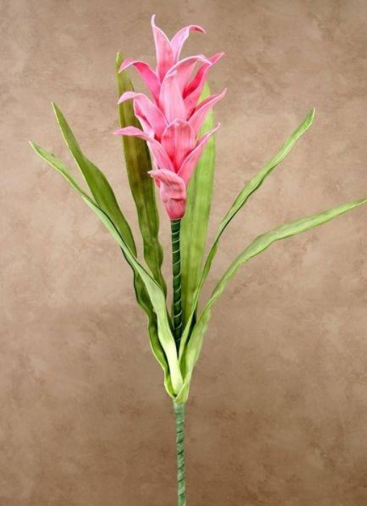 FF246 Pink Botanical