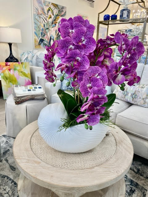 Custom Created Orchid arrangement in Nautilus Shell